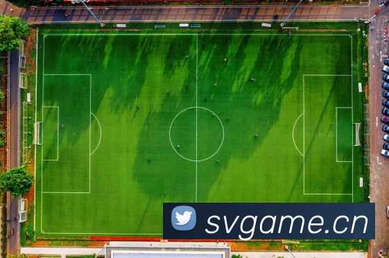 开云kaiyun体育app入口登录官网平台生态图