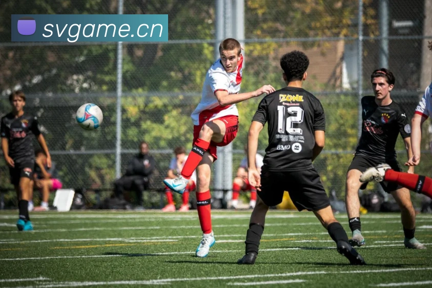 辅助工具 辅助工具